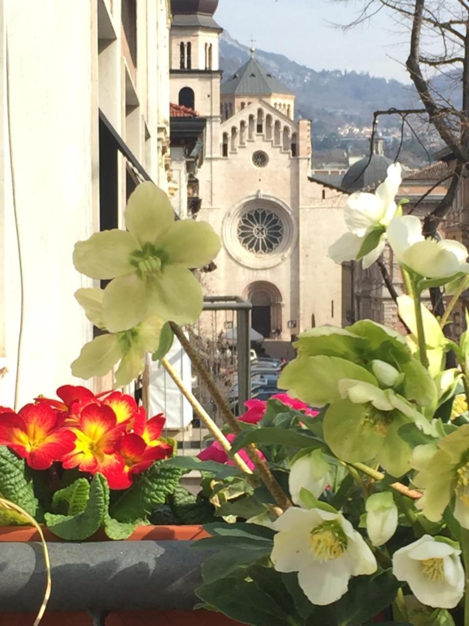 B&B Homer Trento Exterior photo